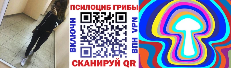 Псилоцибиновые грибы прущие грибы Иланский
